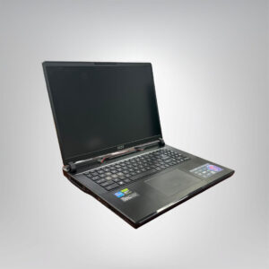 MSI Gaming Laptop